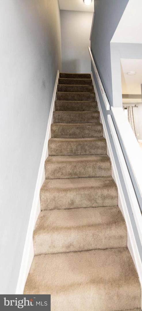 7332 Mossy Brink Court photo 10