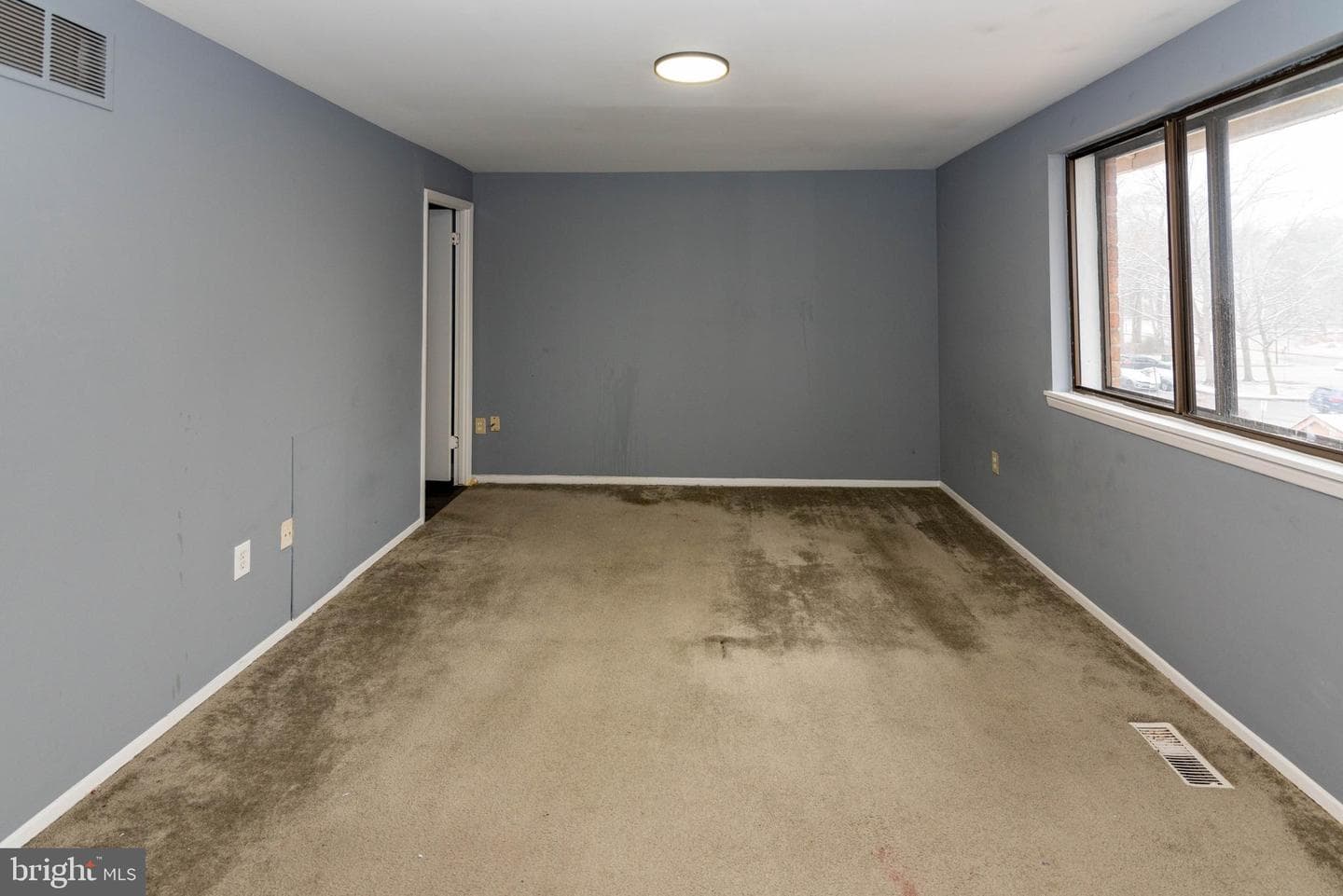 7332 Mossy Brink Court photo 11