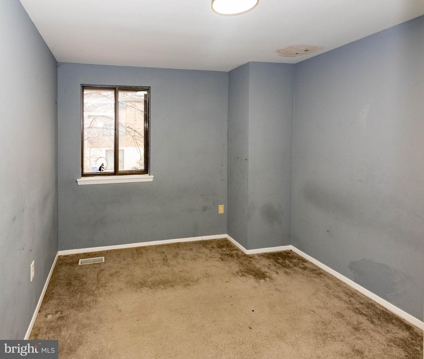 7332 Mossy Brink Court photo 14