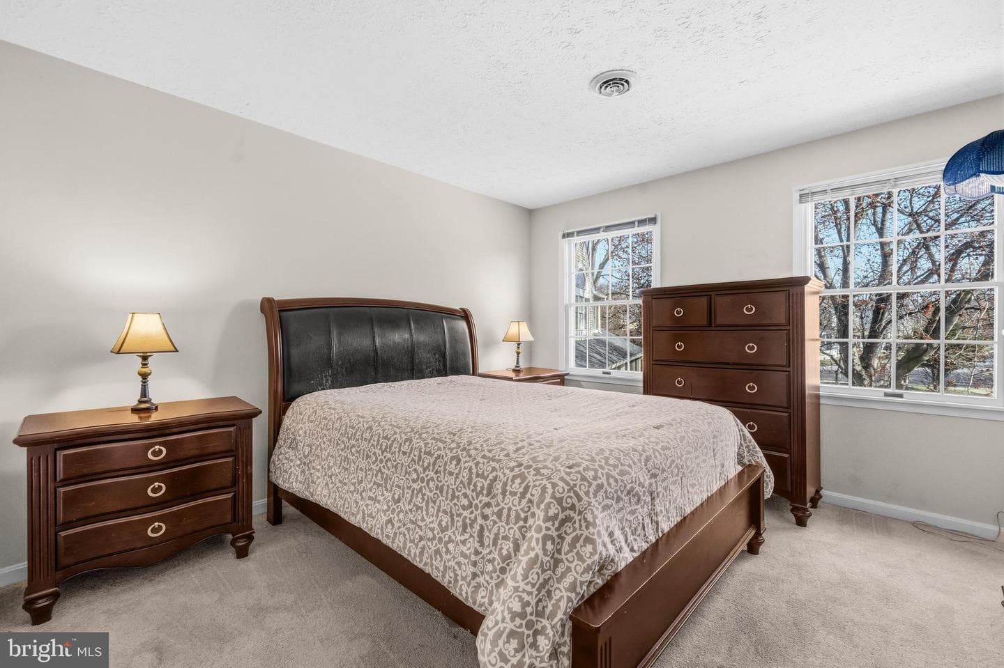 9125 Brunners Run Court photo 25