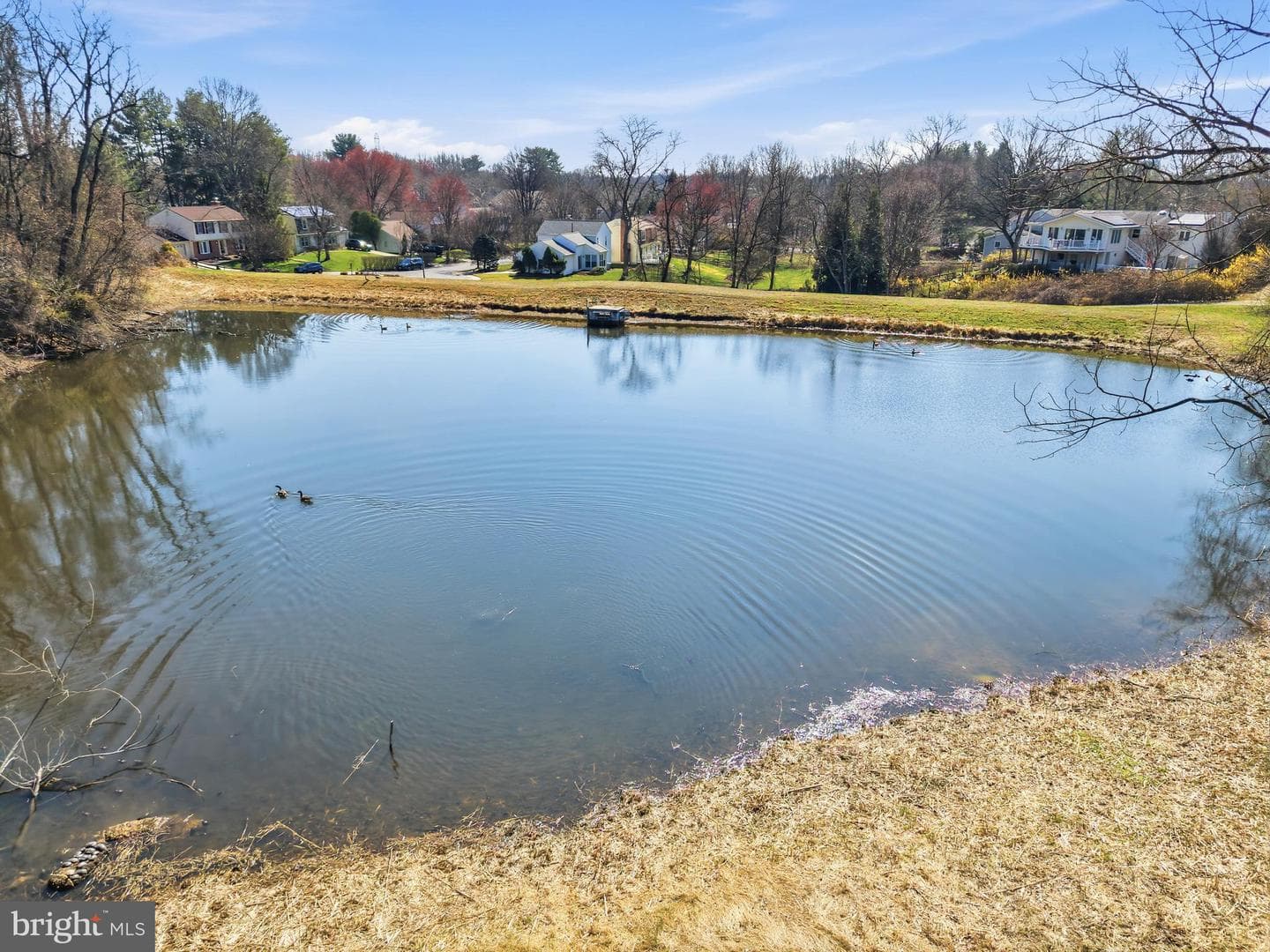 9125 Brunners Run Court photo 41