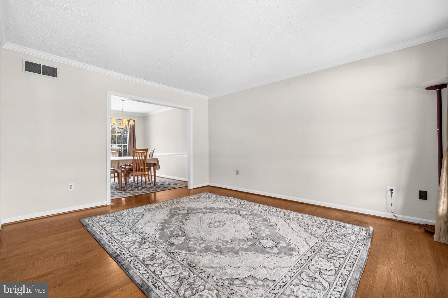 9125 Brunners Run Court photo 8