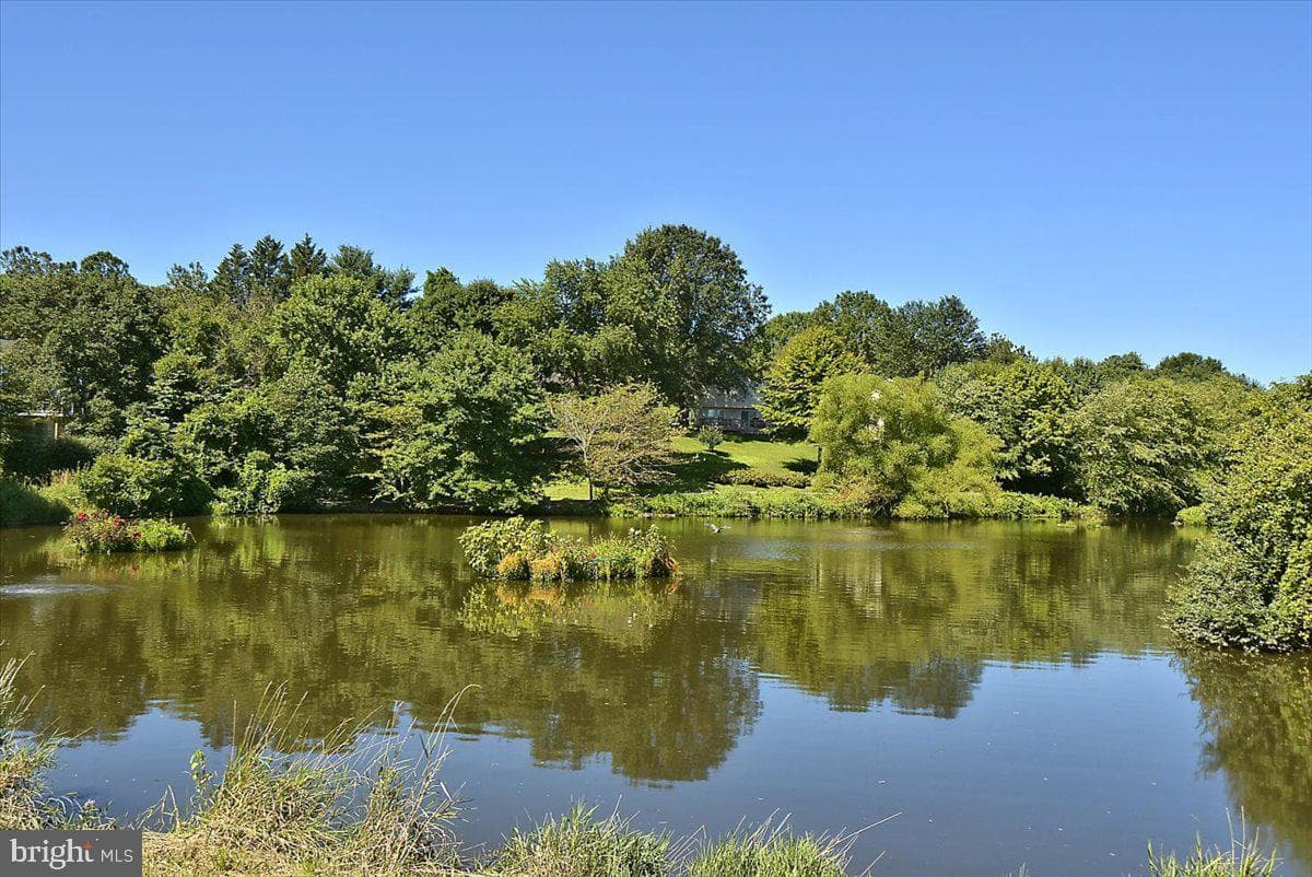 6413 White Peach Place photo 21