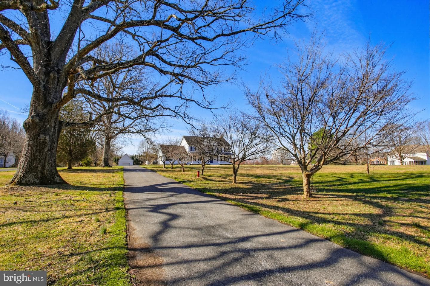 15005 Bushy Park Road photo 67