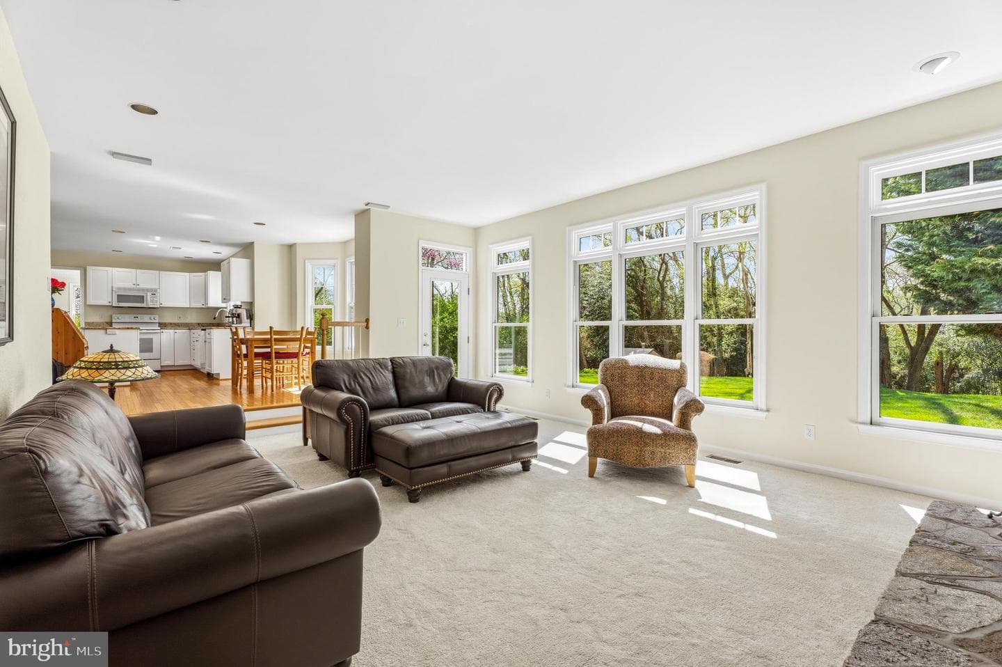 3831 Parrot Drive photo 16