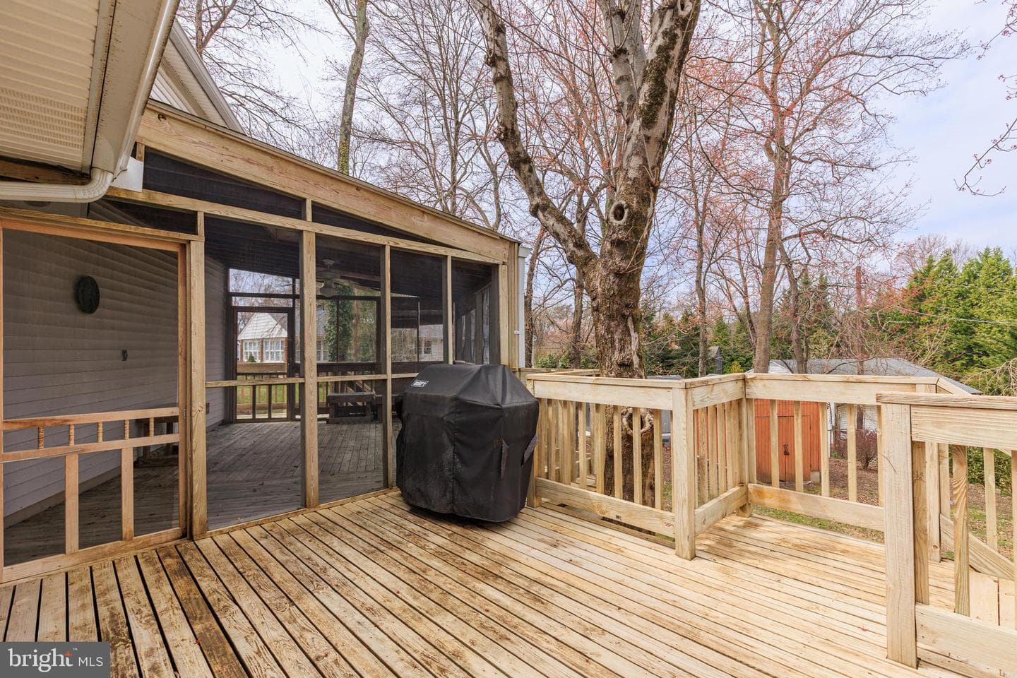 10214 Green Clover Drive photo 50