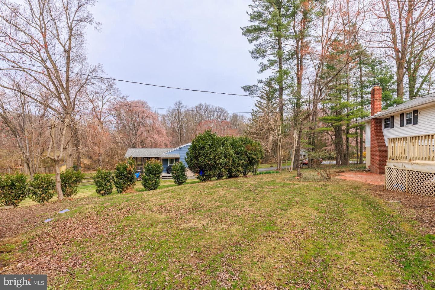 10214 Green Clover Drive photo 64