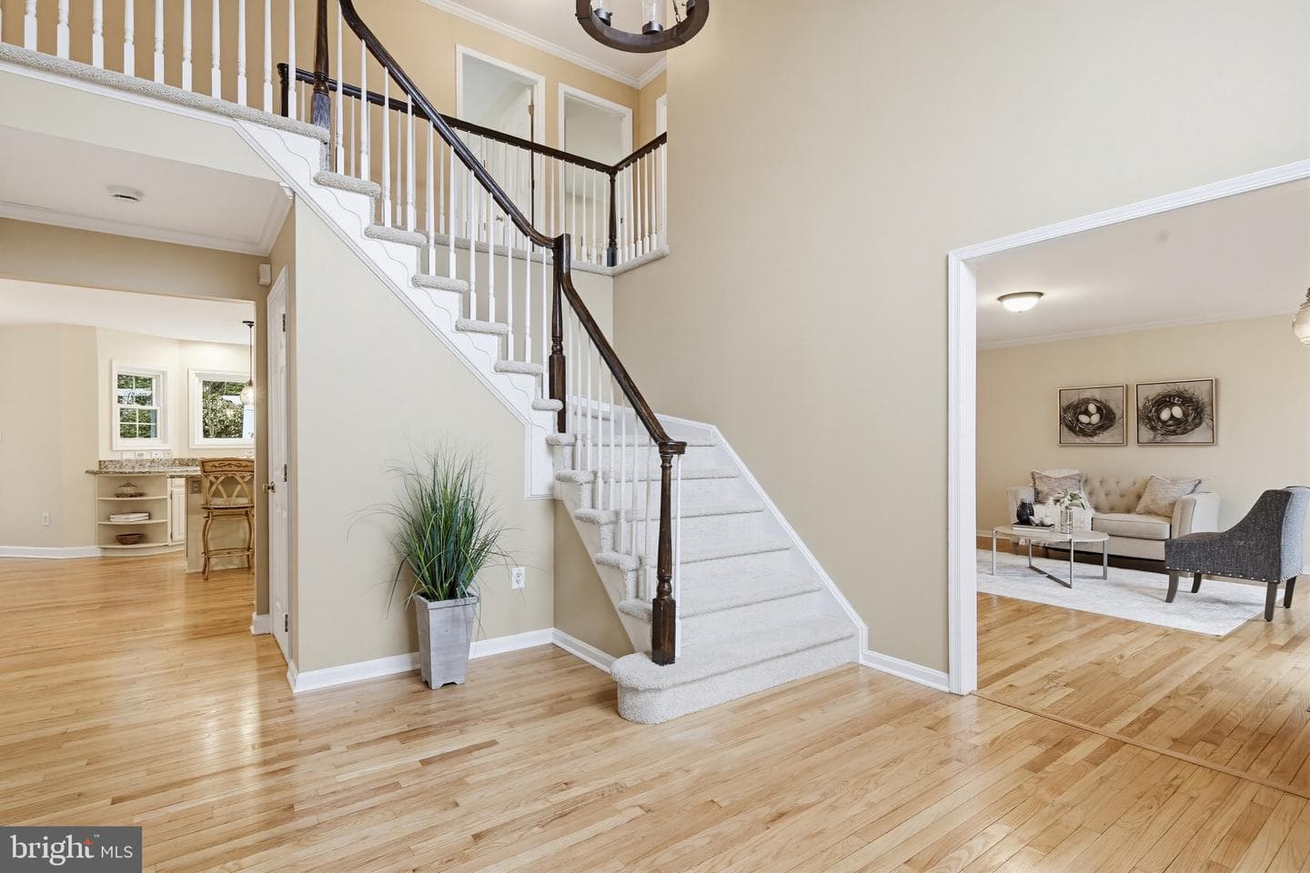 10311 Winstead Court photo 4