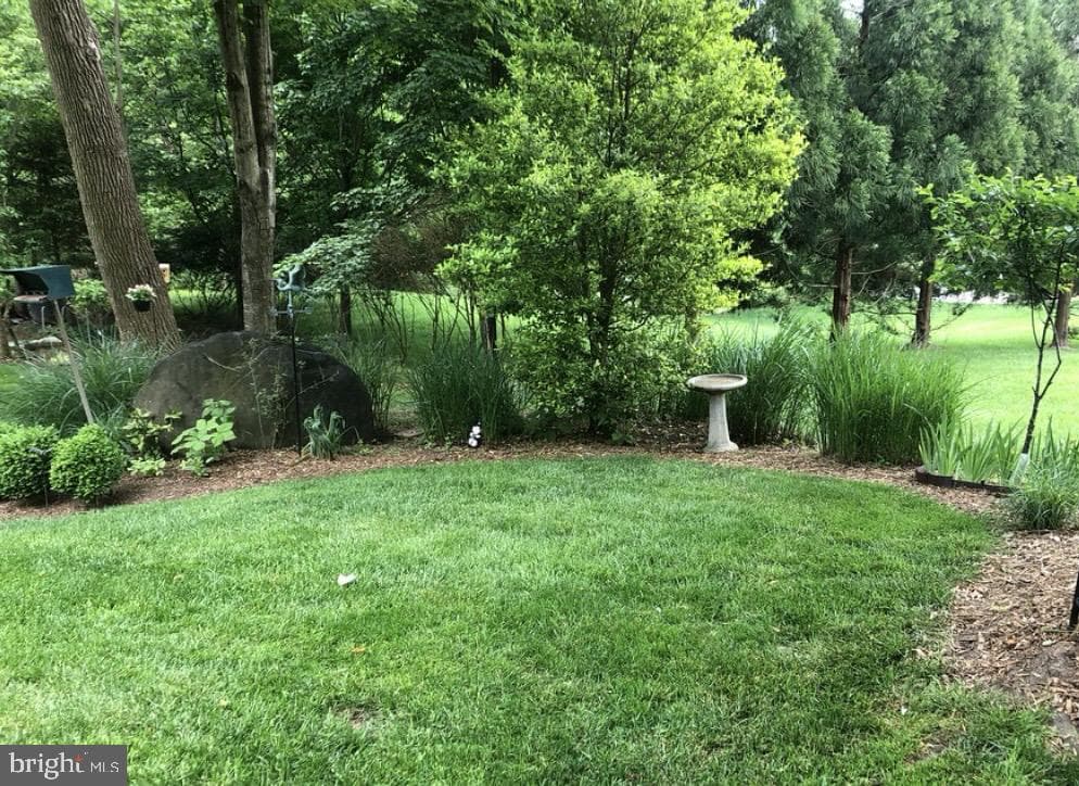4520 Tulip Way photo 54