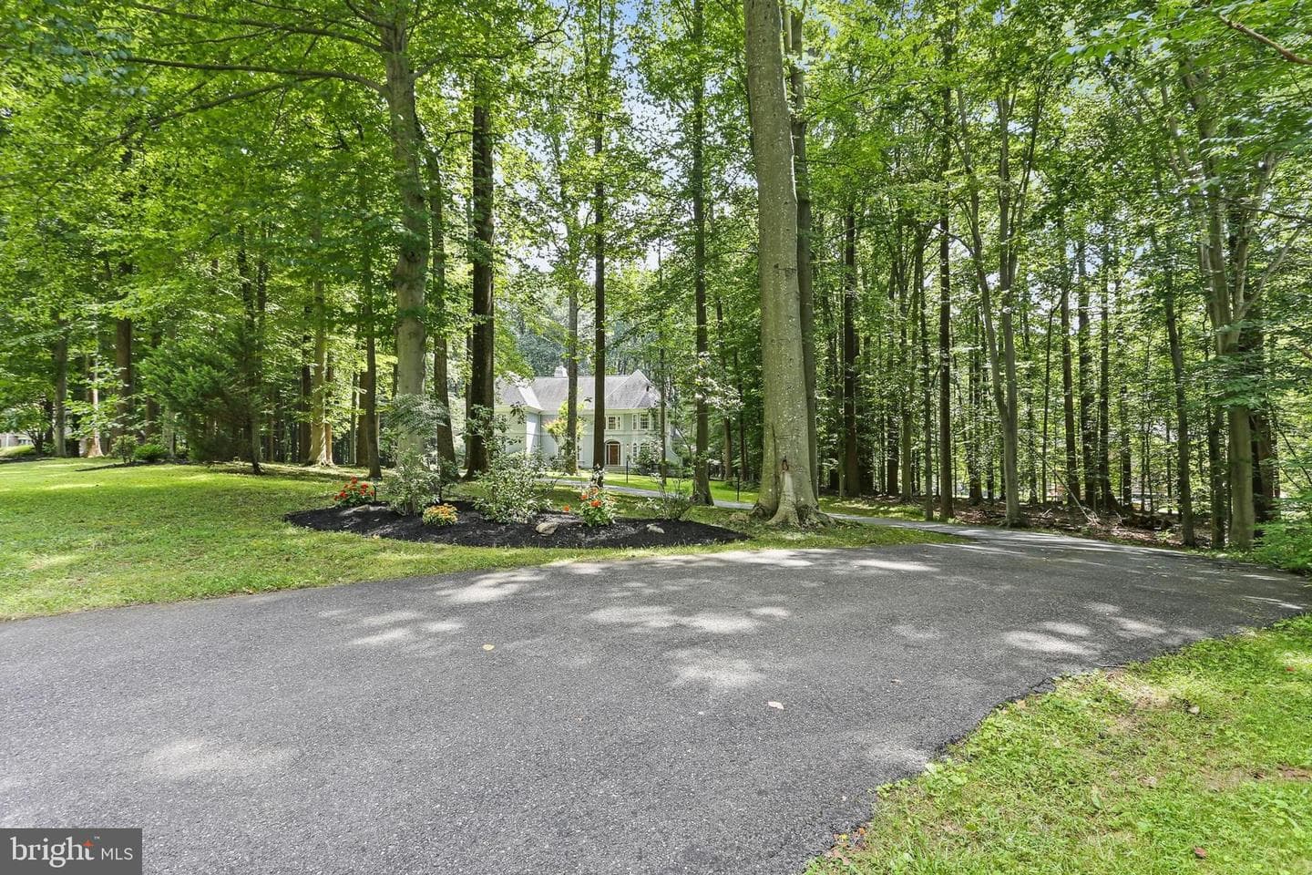 11843 Linden Chapel Road photo 100