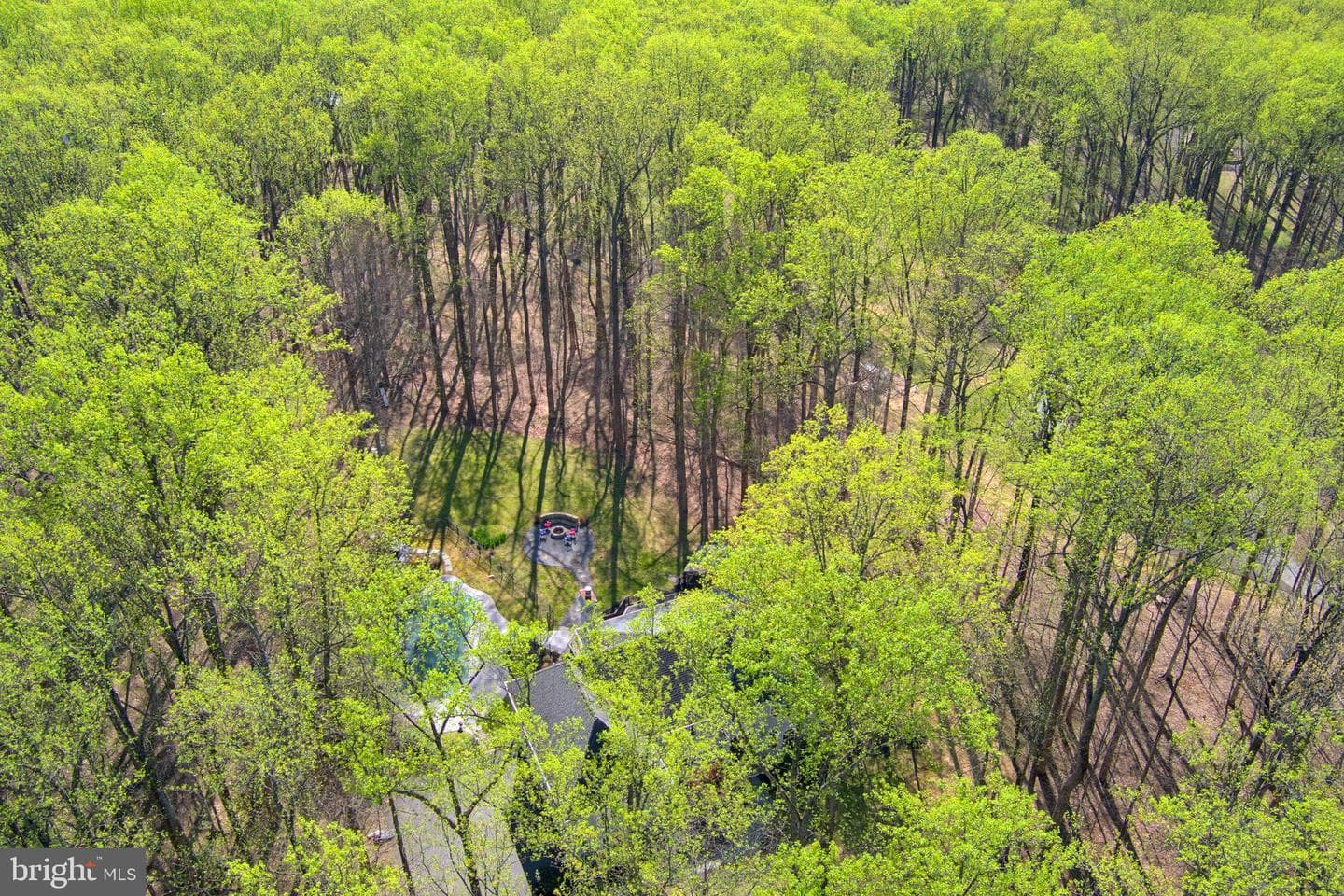 11843 Linden Chapel Road photo 104