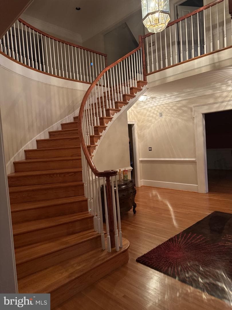 9409 Elizabeth Court photo 18