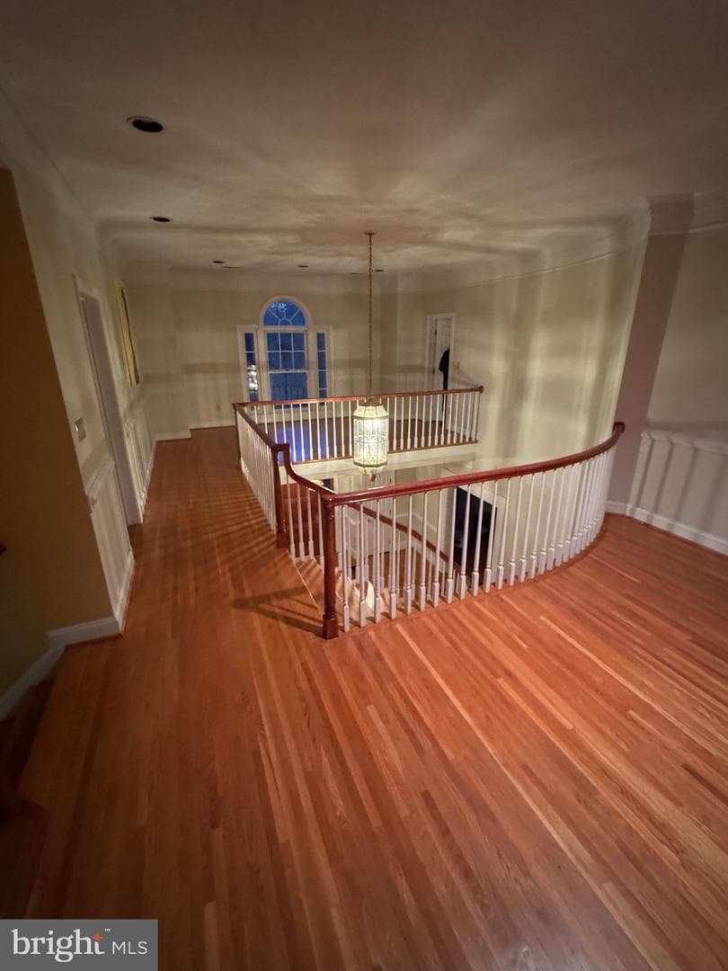 9409 Elizabeth Court photo 20