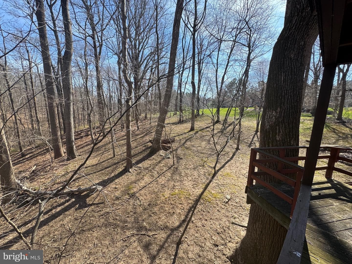 9409 Elizabeth Court photo 42