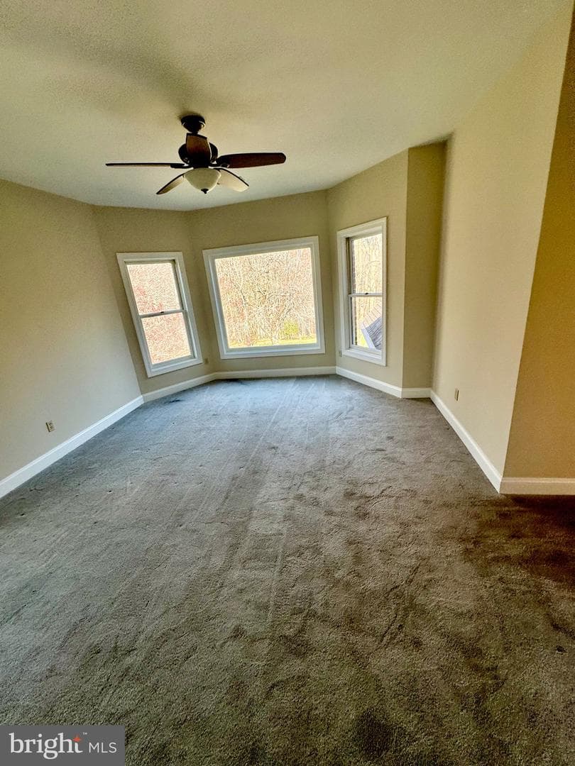 9409 Elizabeth Court photo 57