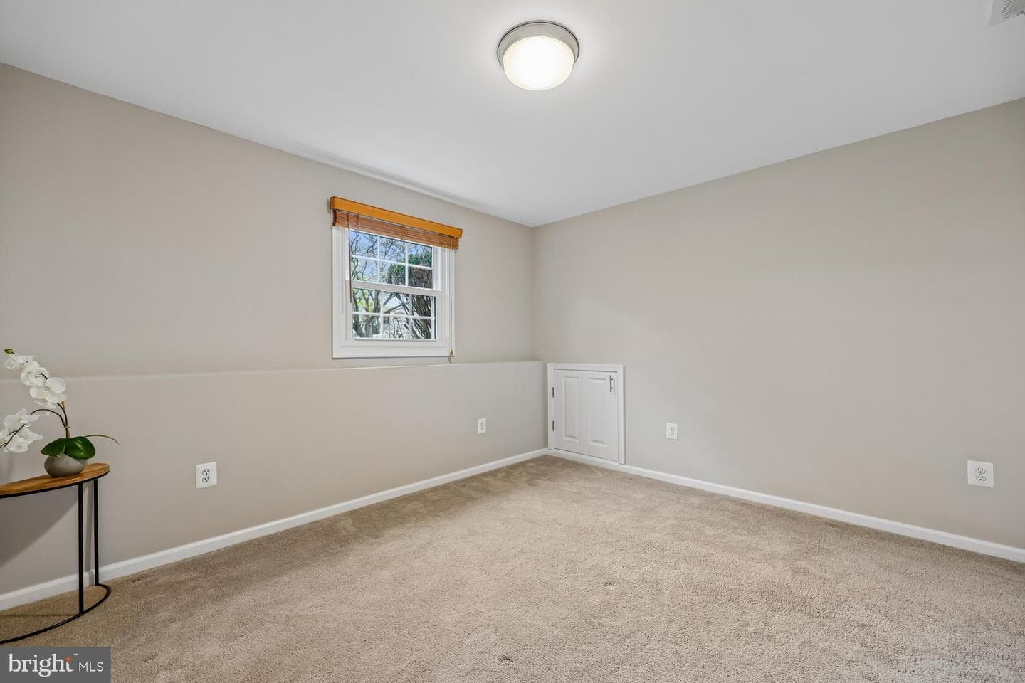 3444 Walker Drive photo 58