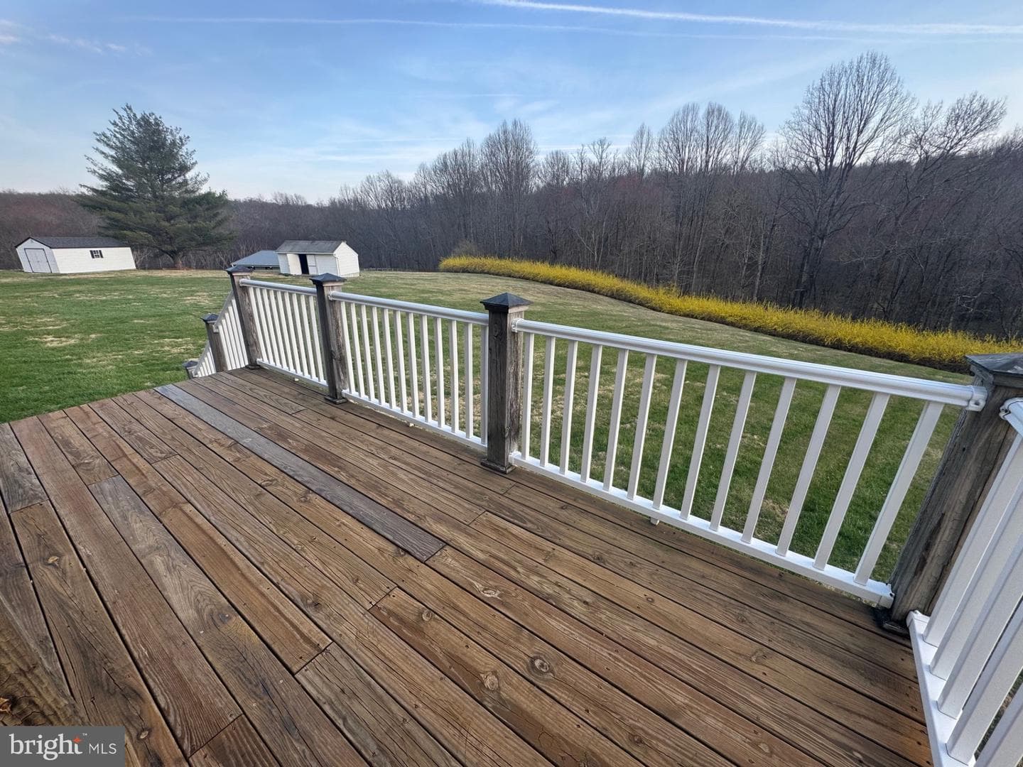 3272 Starting Gate Court photo 6