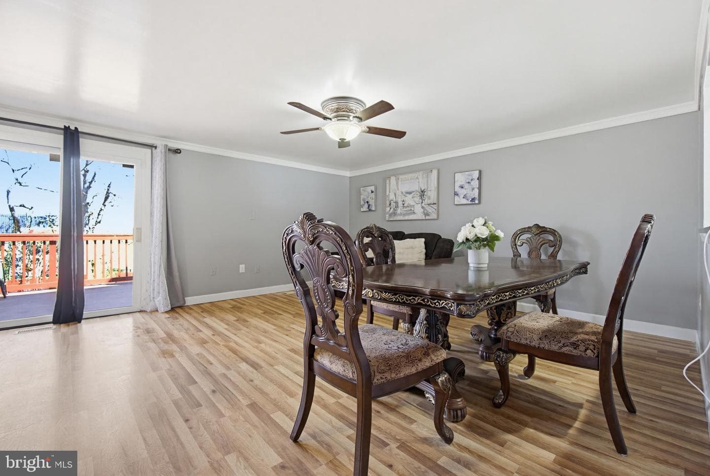 7247 Procopio Circle photo 11