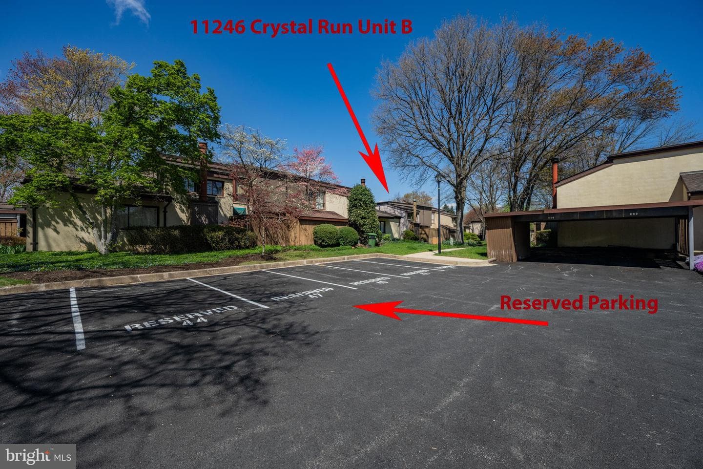 11246 Crystal Run #b-22-3 photo 34