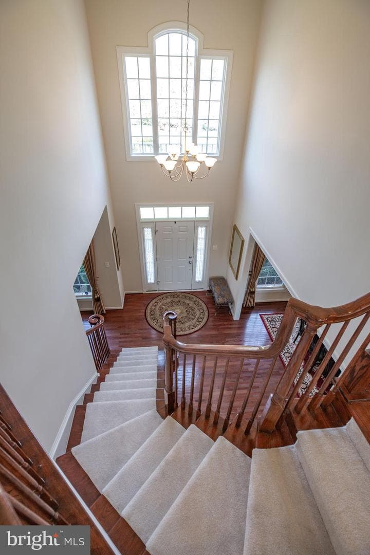 11039 Hunters View Road photo 41