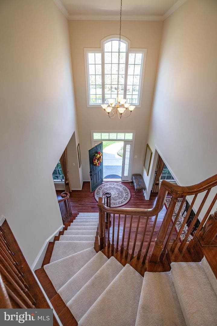 11039 Hunters View Road photo 42