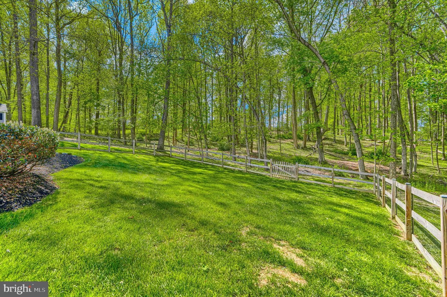 12315 Fawn River Way photo 59