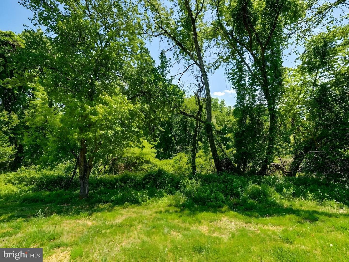 8381 Montgomery Run Road Road #c photo 24