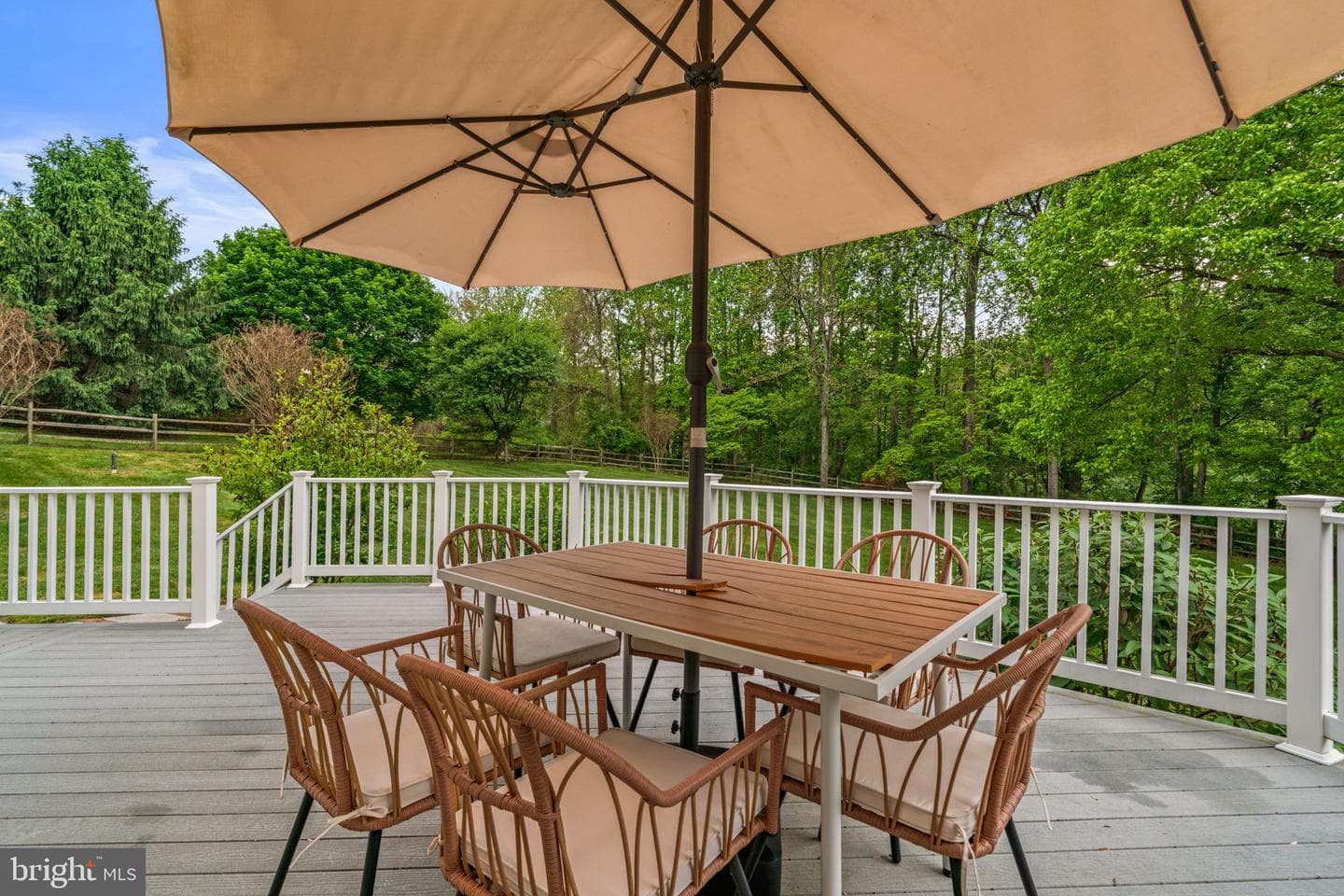 14064 Big Branch Drive photo 69