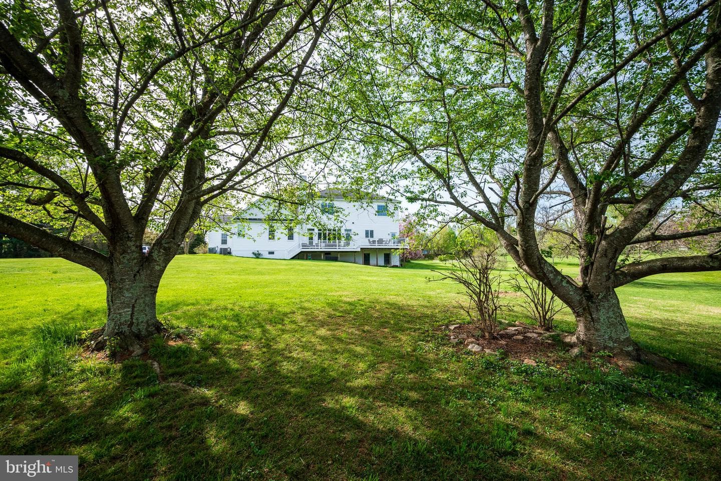 12850 Highland Road photo 47