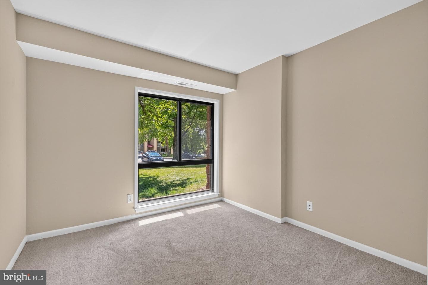 6079 Majors Lane #4 M4 photo 14