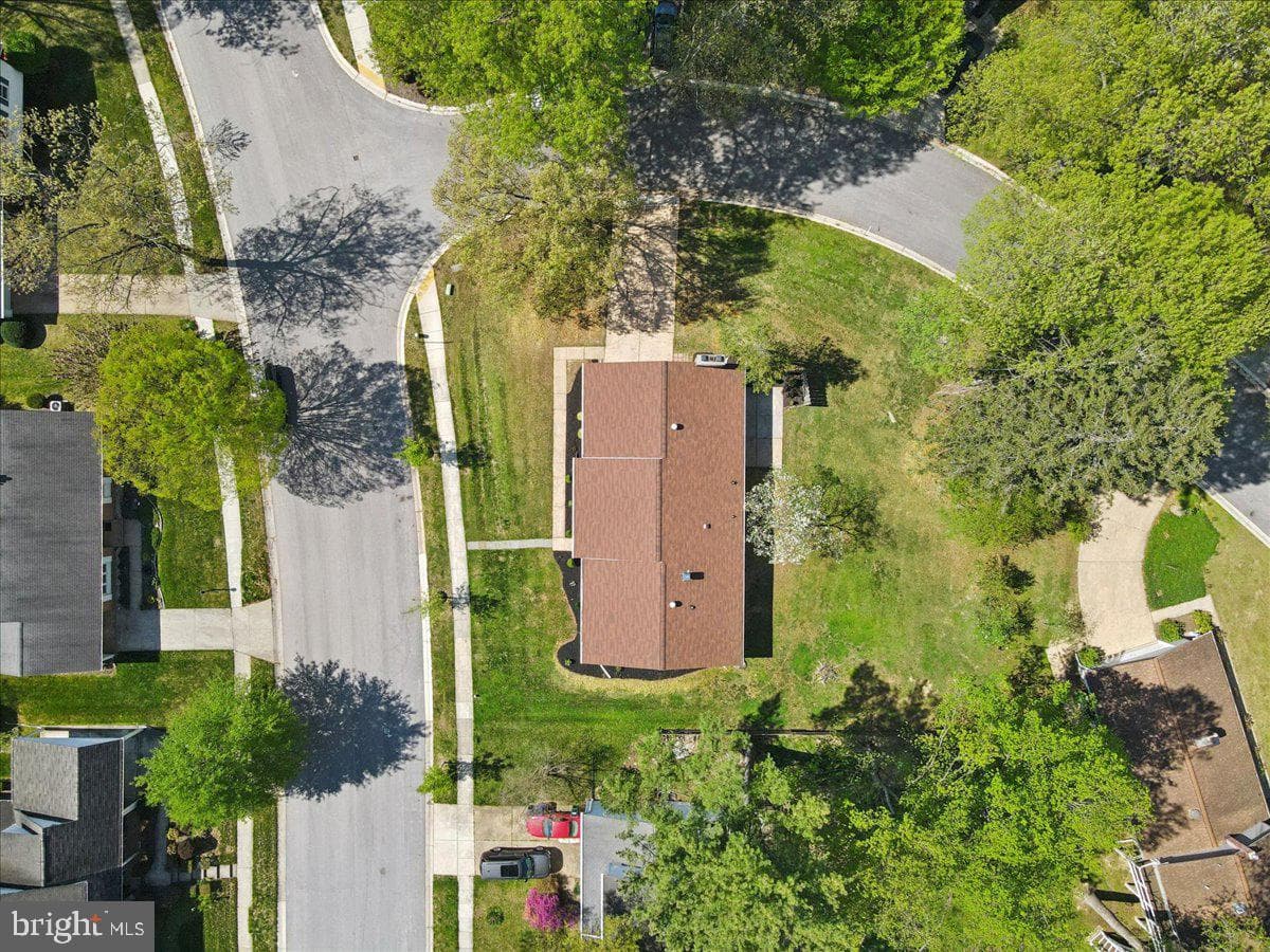 10538 Green Mountain Circle photo 61