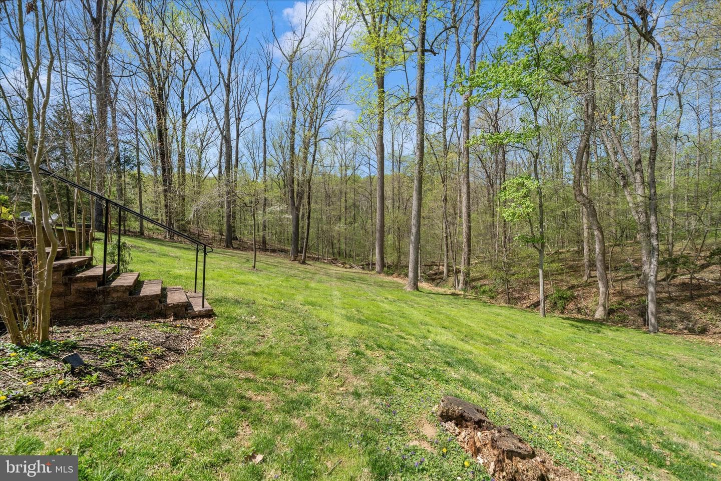 10718 Moosberger Court photo 12