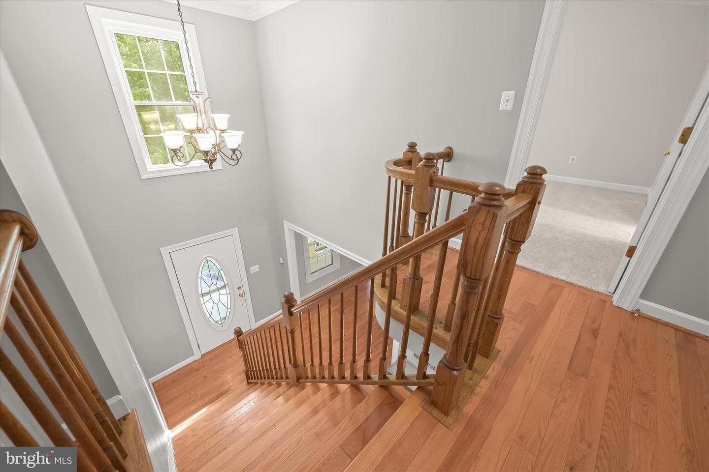 8649 Goldenstraw Lane photo 32