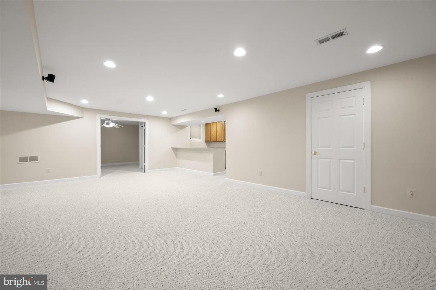 8649 Goldenstraw Lane photo 52