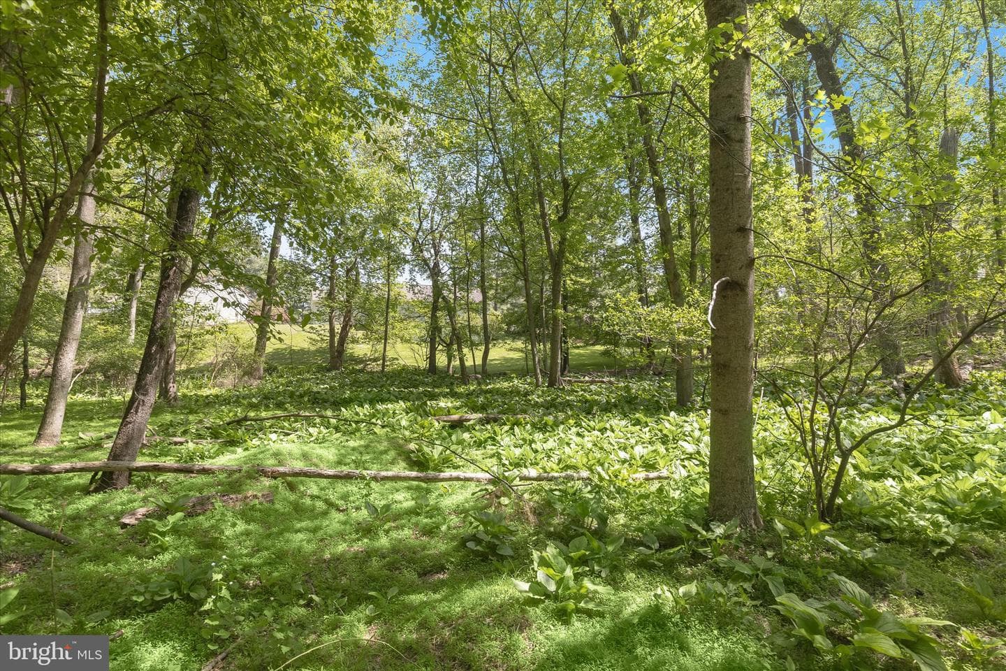 3840 Dahlgren Court photo 64