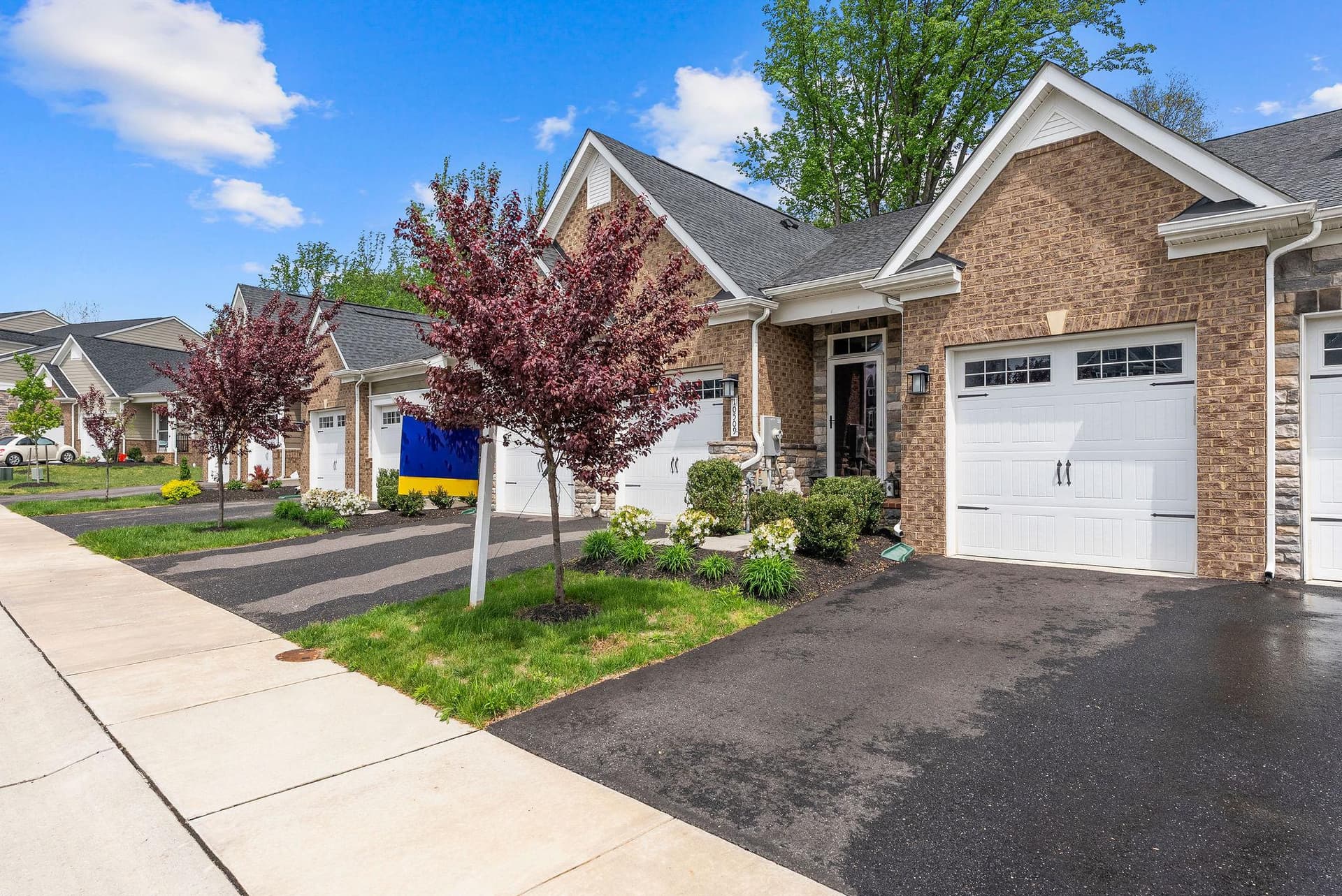 10509 Rossini Lane photo 45
