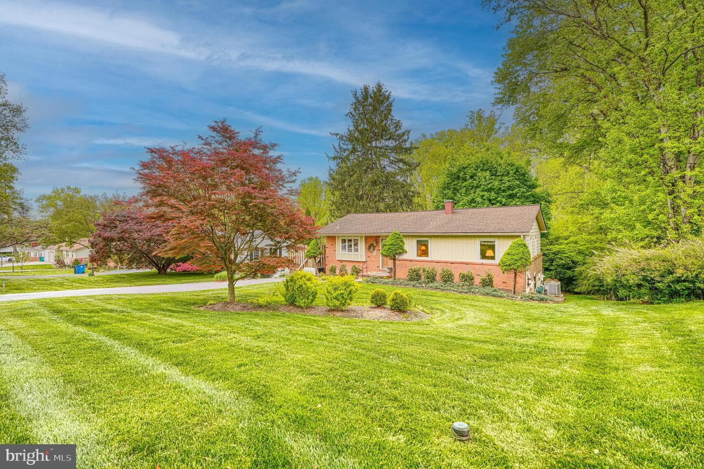 6706 Allview Drive photo 39