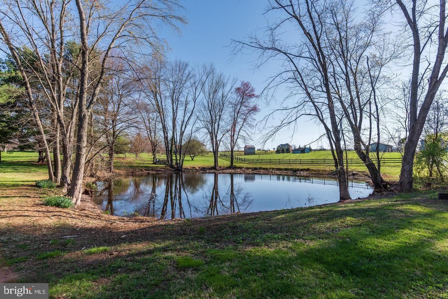 14106 Howard Road photo 40