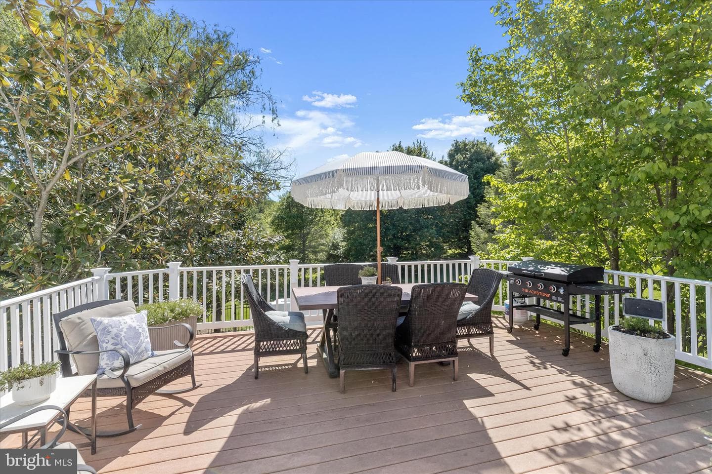 12344 Fox Meadow Lane photo 66