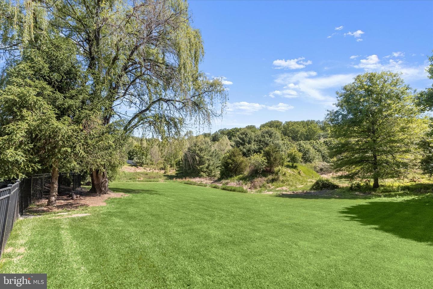 12344 Fox Meadow Lane photo 81
