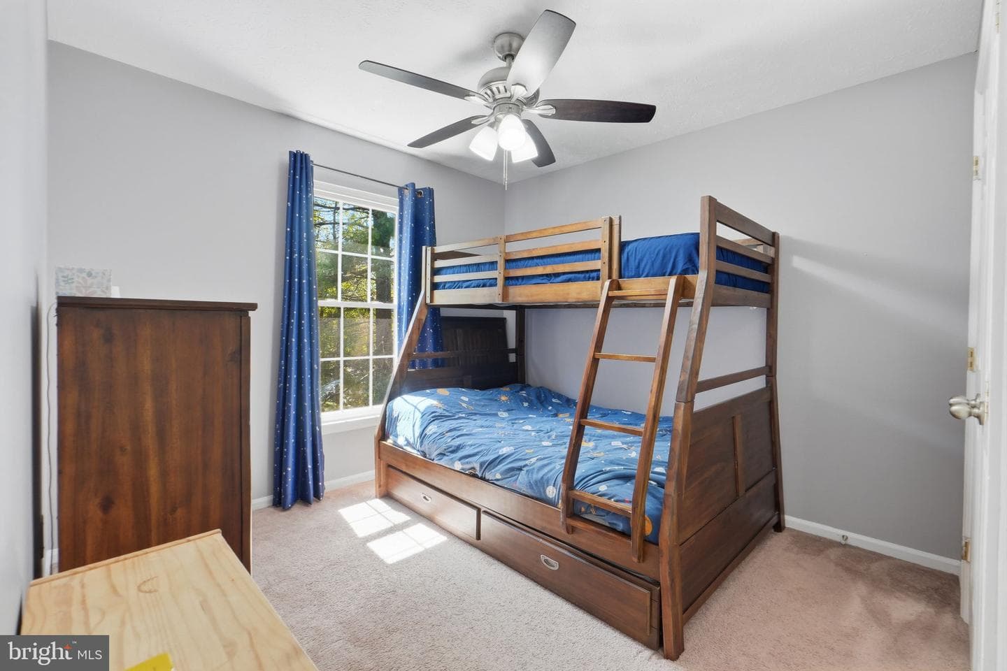 8587 Black Star Circle photo 19