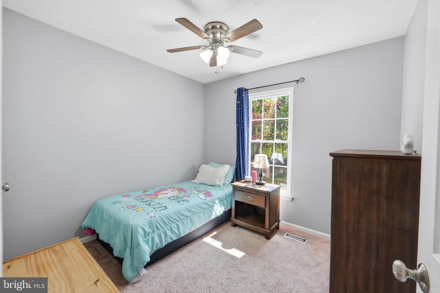 8587 Black Star Circle photo 21