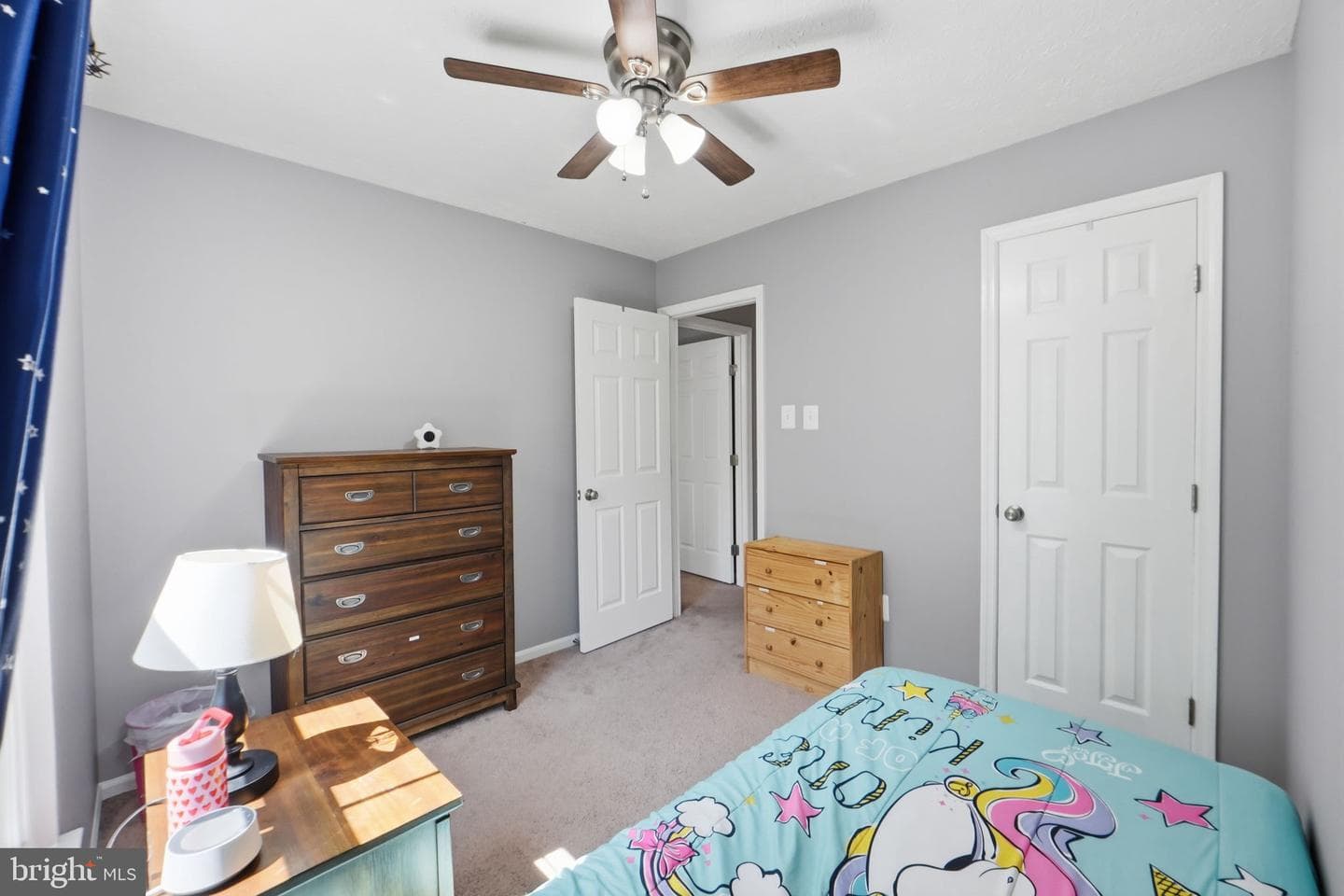 8587 Black Star Circle photo 22