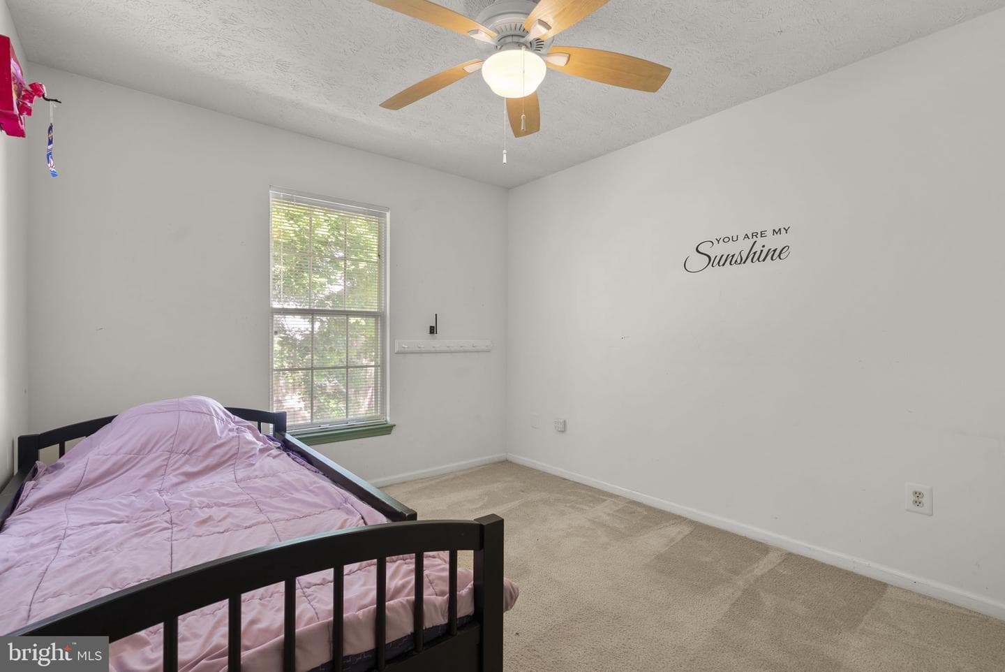 11645 Sun Circle Way photo 28