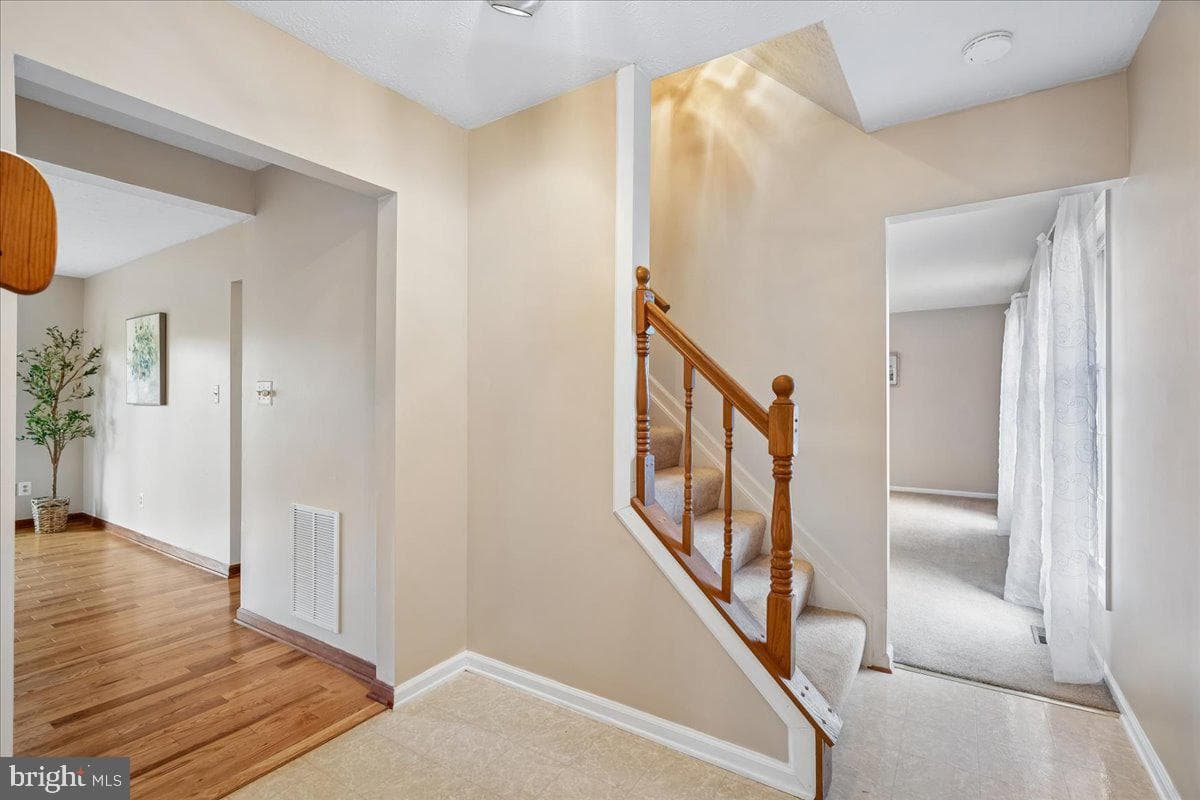 4661 Palomino Court photo 5