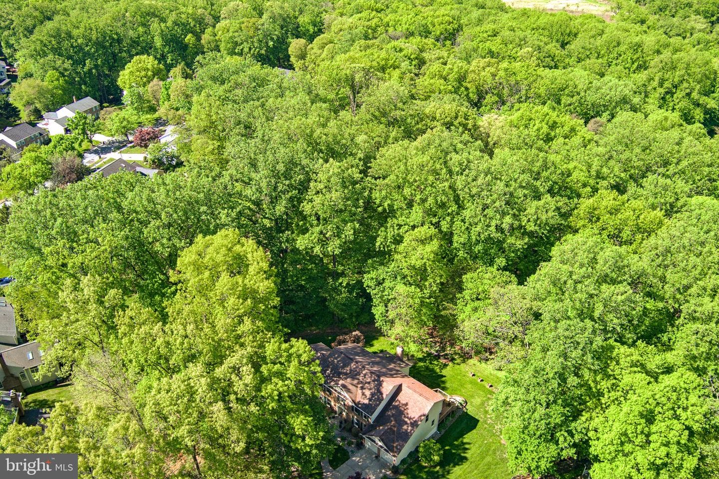 8368 Sand Cherry Lane photo 77