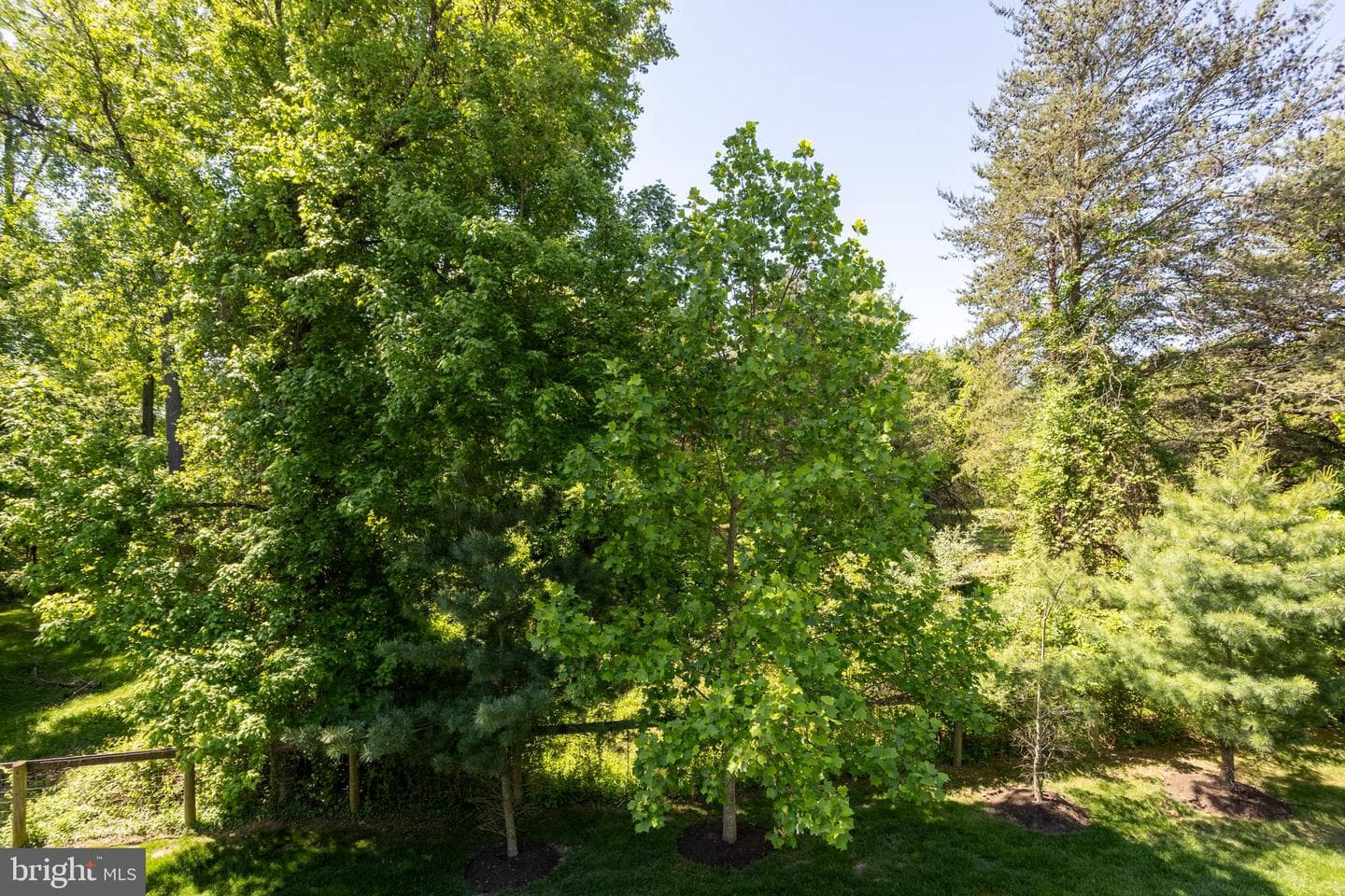 6486 Park Forest Circle photo 73
