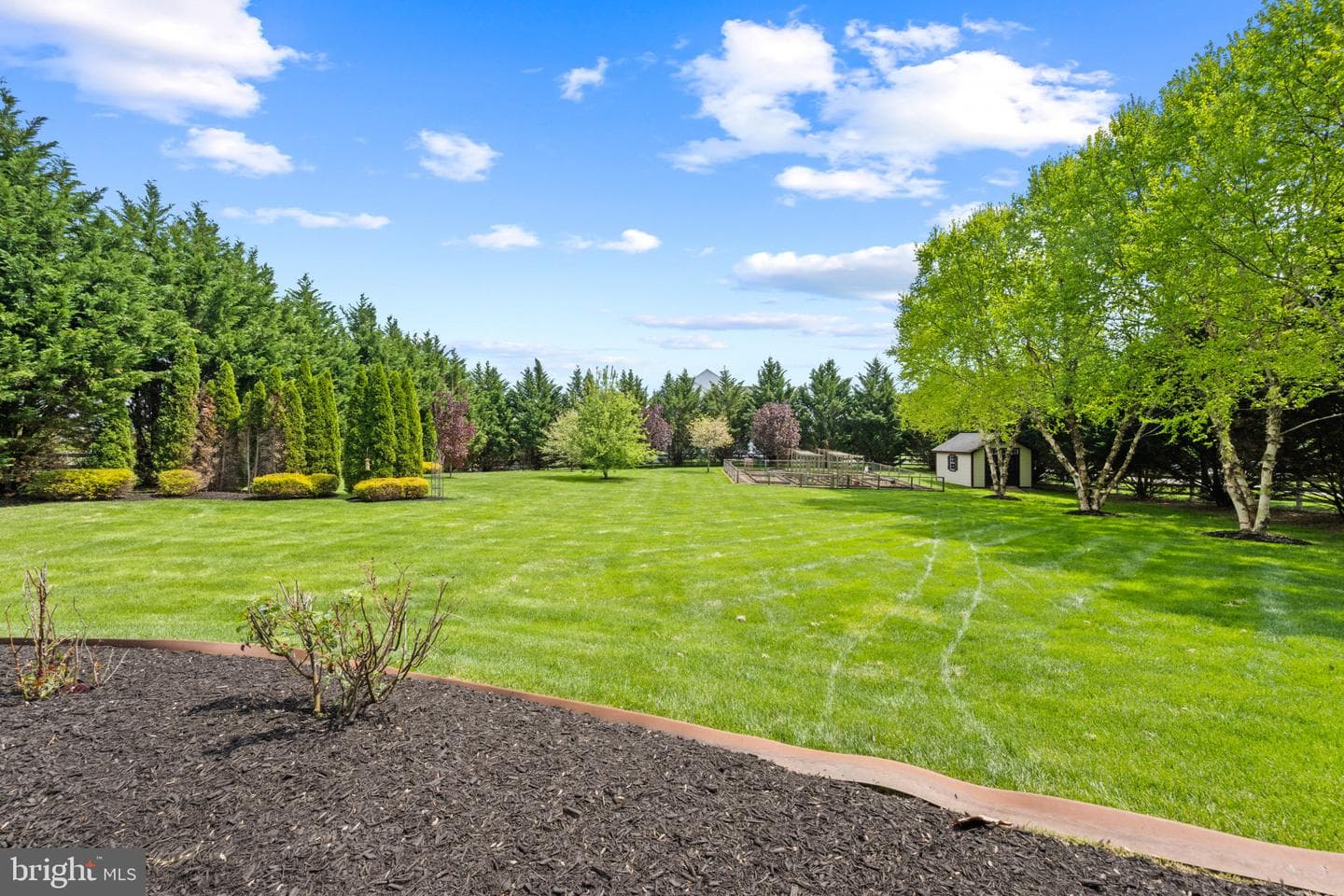 14850 Michele Drive photo 45