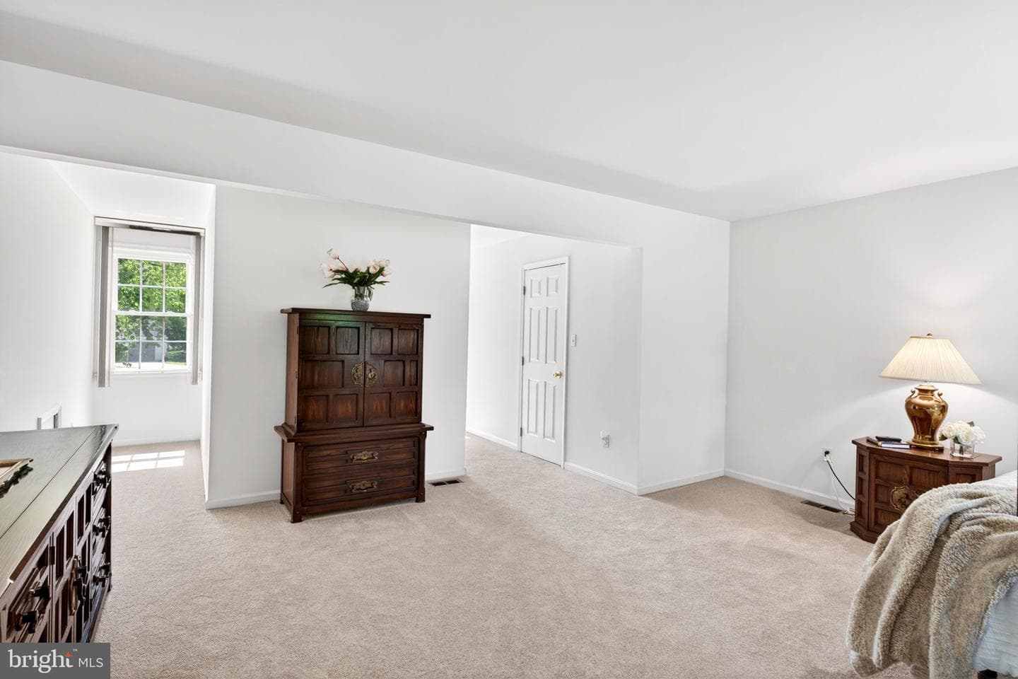 12135 Gray Star Way photo 43