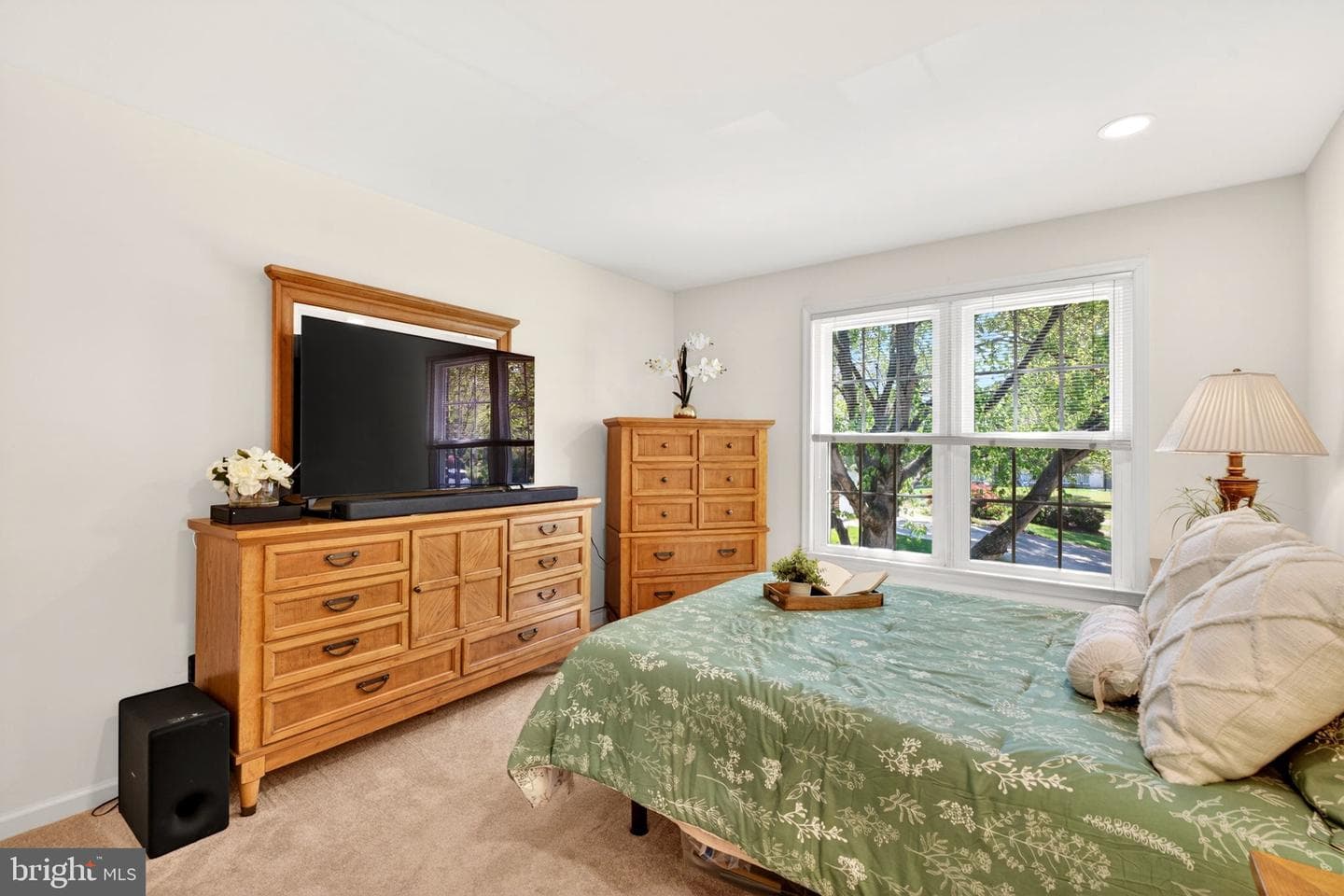12135 Gray Star Way photo 54